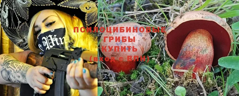 shop какой сайт  Азов  Галлюциногенные грибы Magic Shrooms 